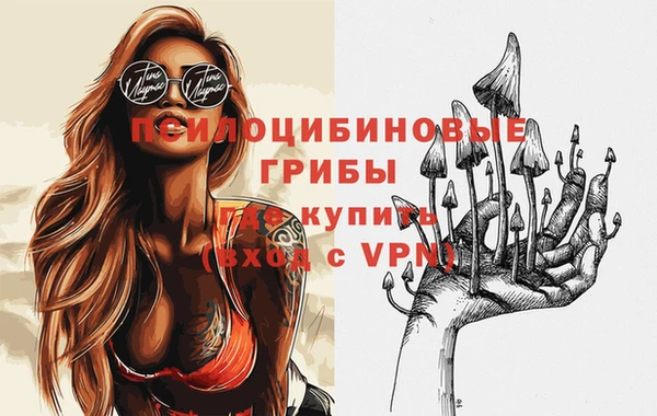 spice Липки