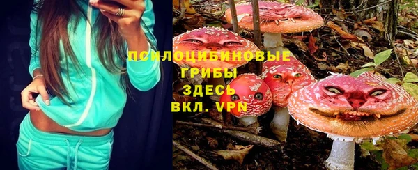 бошки Лиски