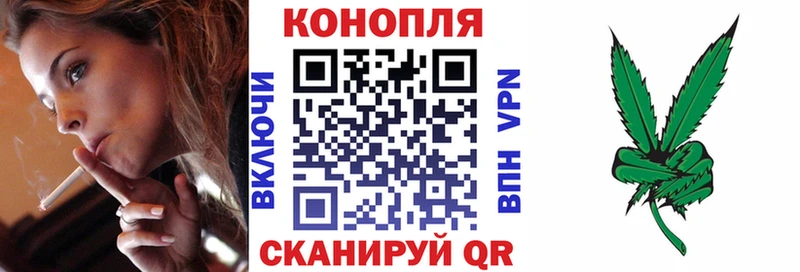 Бошки Шишки семена  Купить  Берёзовка 